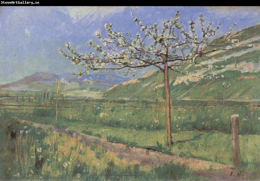 Ferdinand Hodler Apple tree in Blossom